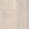 0373 Noma Ice