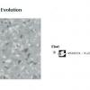 10 Tapiflex Evolution