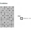 24 Tapiflex Evolution