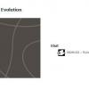 25 Tapiflex Evolution
