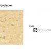 3 Tapiflex Evolution