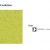 33 Tapiflex Evolution