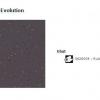 37 Tapiflex Evolution