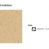 45 Tapiflex Evolution
