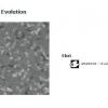 5 Tapiflex Evolution