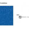 51 Tapiflex Evolution