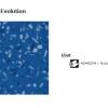 6 Tapiflex Evolution