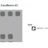 3 Tapiflex Excellence 65
